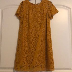 Gold lace dress